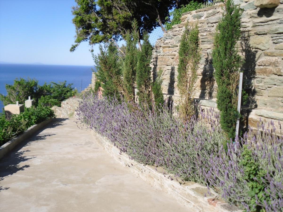 אפרטהוטל Agia Eleousa Aegean Castle Andros - Adults Only מראה חיצוני תמונה
